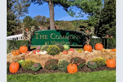 67 Hampshire Dr, Mendham, NJ 07945 - Photo 28