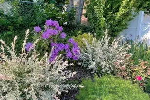 138 Hiawatha Blvd, Parsippany, NJ 07034 - Photo 34