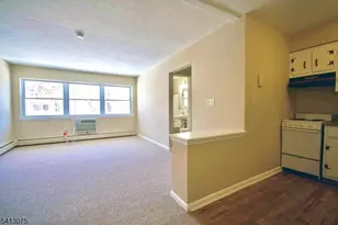 37 Hill Steet, Morristown, NJ 07960 - Photo 4