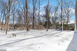 10 Forrest Rd, Randolph Township, NJ 07869 - Photo 34