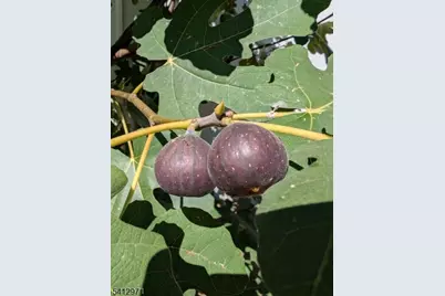 612 Passaic Ave, Nutley, NJ 07110 - Photo 30