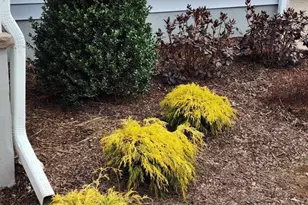 34 Scott Ave, Sayreville, NJ 08879 - Photo 22