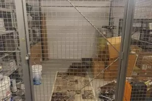 7 Prospect St, Morristown, NJ 07960 - Photo 14