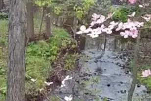 14 Bradford Ln, Bernards Township, NJ 07920 - Photo 42