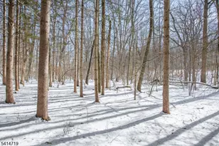 181 Center Grove Rd, Randolph Township, NJ 07869 - Photo 44