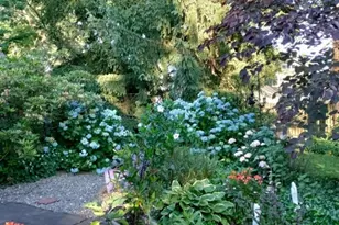 645 Roosevelt St, Westfield, NJ 07090 - Photo 26