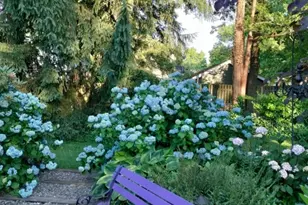 645 Roosevelt St, Westfield, NJ 07090 - Photo 24