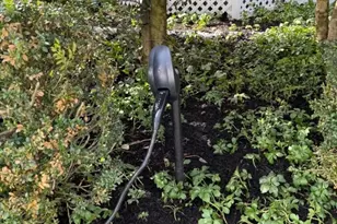 166 Washington Ave, Chatham, NJ 07928 - Photo 50