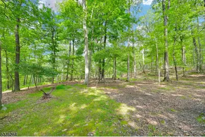 51 Paulinskill Lake Rd, Fredon Township, NJ 07860 - Photo 2