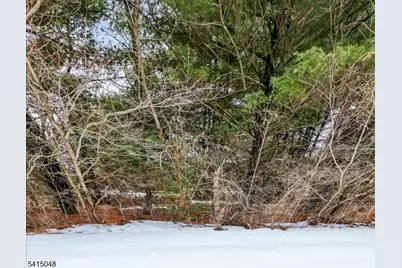 5 Fisher Ct, East Amwell Township, NJ 08551 - Photo 16