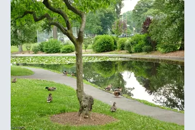 25 Burnett Ter, Maplewood, NJ 07040 - Photo 46