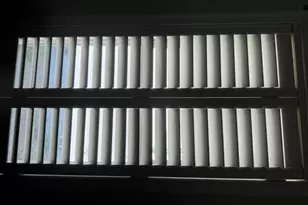 221 Rose St, Newark, NJ 07108 - Photo 6