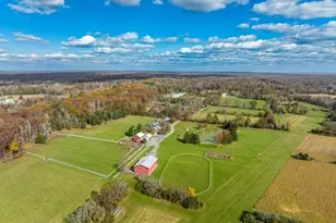 259 County Road 519, Kingwood Township, NJ 08559 - Photo 50