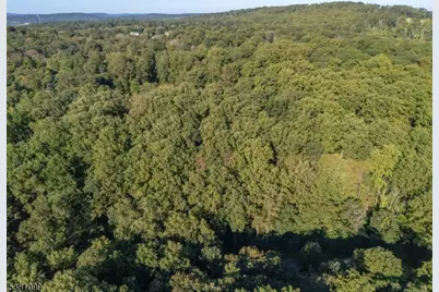 00 Sweet Hollow Road, Holland Township, NJ 08848 - Photo 8