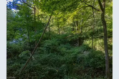 00 Sweet Hollow Road, Holland Township, NJ 08848 - Photo 2