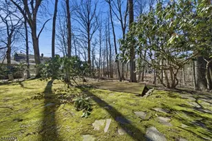 54 Cobb Rd, Mountain Lakes, NJ 07046 - Photo 26