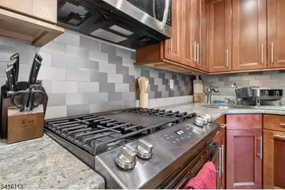 96 Crabapple Ln, Franklin Township, NJ 08823 - Photo 10