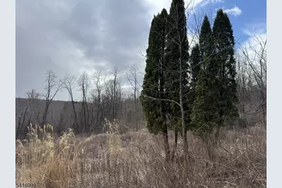 197 E Mill Rd, Washington Township, NJ 07853 - Photo 20