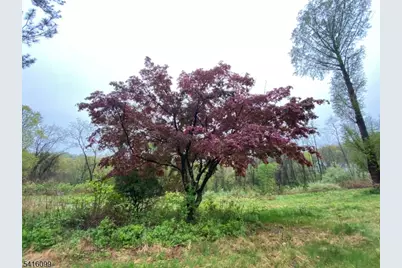 197 E Mill Rd, Washington Township, NJ 07853 - Photo 14