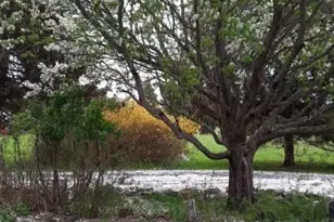 156 Lott Rd, Wantage, NJ 07461 - Photo 38