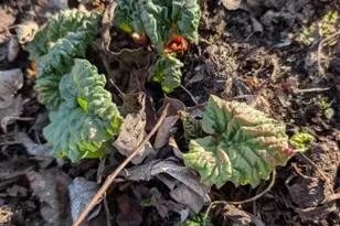 156 Lott Rd, Wantage, NJ 07461 - Photo 42