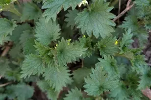 156 Lott Rd, Wantage, NJ 07461 - Photo 44