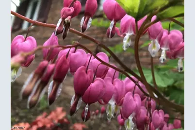 51-53 Durand Rd, Maplewood, NJ 07040 - Photo 48