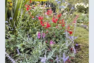 69 Kostenbader Rd, Hope Township, NJ 07825 - Photo 44