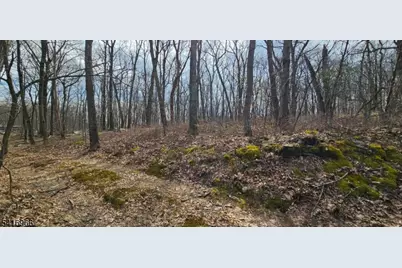 00 Upper Hibernia Rd, Rockaway Township, NJ 07866 - Photo 1