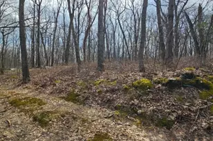 00 Upper Hibernia Rd, Rockaway Township, NJ 07866 - Photo 1