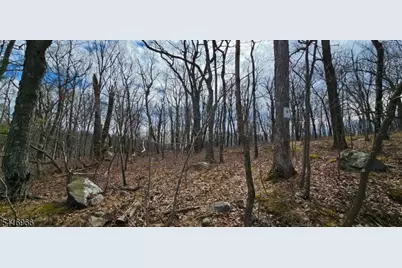 00 Upper Hibernia Rd, Rockaway Township, NJ 07866 - Photo 10