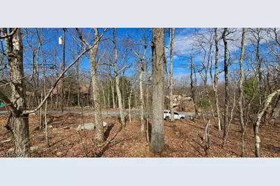 00 Upper Hibernia Rd, Rockaway Township, NJ 07866 - Photo 6