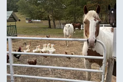 32 Millville Road, Montague, NJ 07827 - Photo 8