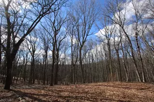 306 Pleasant Valley Rd, Marlboro Township, NJ 07751 - Photo 26