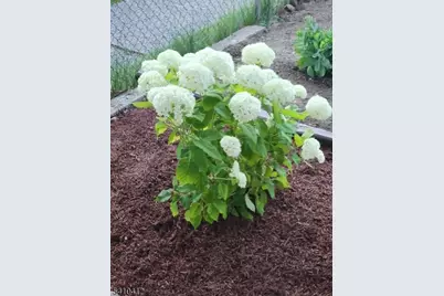 204 Central Ave, Passaic, NJ 07055 - Photo 22