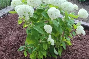 204 Central Ave, Passaic, NJ 07055 - Photo 22