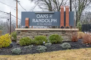 18 Flower Horn Blvd, Randolph Township, NJ 07869 - Photo 1