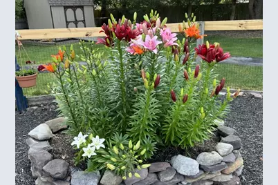 377 Triangle Rd, Hillsborough Township, NJ 08844 - Photo 46