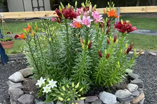 377 Triangle Rd, Hillsborough Township, NJ 08844 - Photo 46