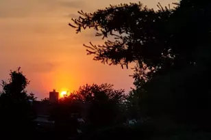 1F Chadwick Ln, Monroe Township, NJ 08831 - Photo 28