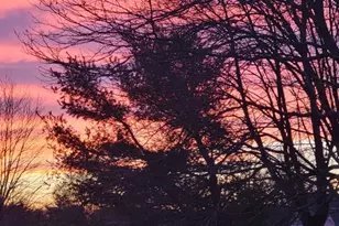 1F Chadwick Ln, Monroe Township, NJ 08831 - Photo 26