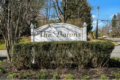 47 Dexter Dr N, Bernards Township, NJ 07920 - Photo 36