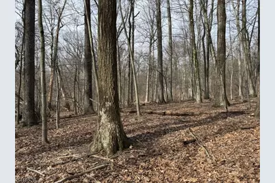 164 North Rd, Chester, NJ 07930 - Photo 2