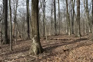 164 North Rd, Chester, NJ 07930 - Photo 2