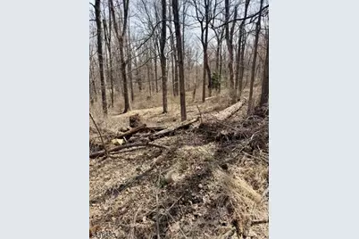 10 Loantaka Ln, Chatham Township, NJ 07960 - Photo 6