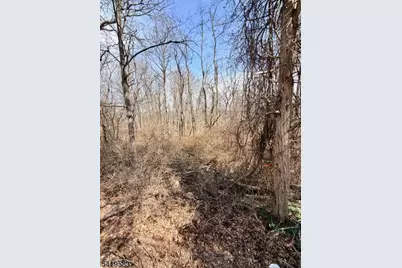 10 Loantaka Ln, Chatham Township, NJ 07960 - Photo 8