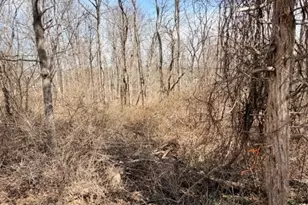 10 Loantaka Ln, Chatham Township, NJ 07960 - Photo 8