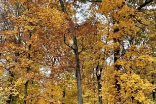 5 Buddy Ln, Mendham Township, NJ 07960 - Photo 50