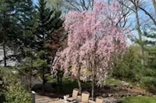 1044 Summit Ln, Mountainside, NJ 07092 - Photo 24