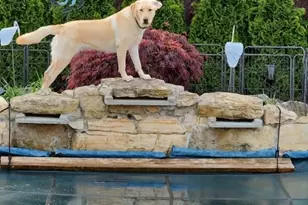 9 Robert Dr, East Hanover Township, NJ 07936 - Photo 26